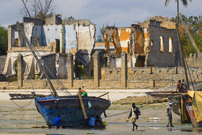 无人,竖图,室外,树林,水,植物,非洲,坦桑尼亚,木制,岛,树皮,树,树干,力量,摄影,落叶树,猴面包树,东非,桑吉巴尔,海滩,彩图