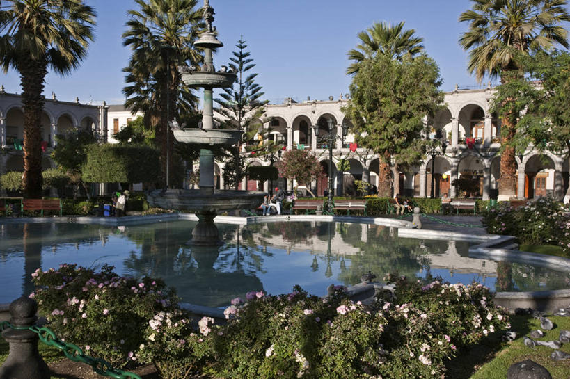 无人,横图,室外,火山,山,野生动物,秘鲁,骆驼,动物,南美,可爱,摄影,活泼,盆地,拉丁美洲,羊驼,沙漠之舟,驼羊,盐湖,盐滩,彩图,旅行