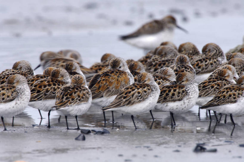成年人,横图,室外,湖,山,山脉,水,飞机,美国,地形,鱼类,运输,摄影,活动,飞行器,北美,国家公园,户外活动,男人,男性,休闲活动,彩图,钓鱼
