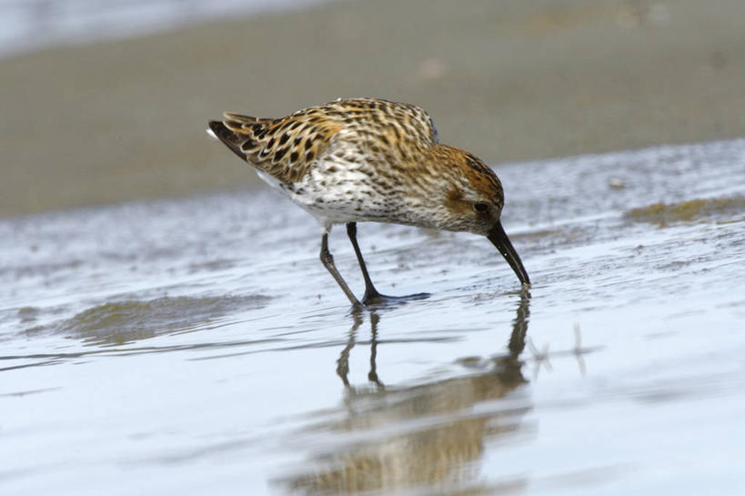 成年人,横图,室外,湖,山,山脉,水,飞机,美国,地形,鱼类,运输,摄影,活动,飞行器,北美,国家公园,户外活动,男人,男性,休闲活动,彩图,钓鱼