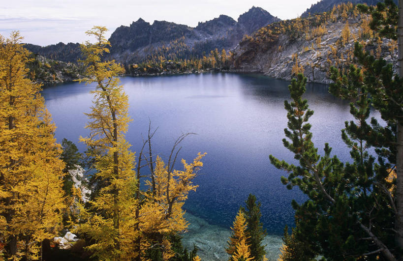 无人,横图,彩色,室外,探险,山,山脉,美国,树,风景,季节,摄影,五颜六色,色彩斑斓,北美,北美洲,美洲,五彩缤纷,华盛顿州,落叶松,北亚美利加洲,亚美利加洲,五彩斑斓,国家森林公园,五光十色,美国人,秋天,彩图,美利坚合众国