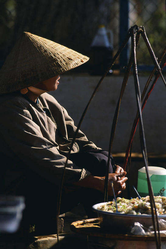 竖图,植物,路,自行车,仙人掌,越南,蜘蛛网,黎明,车,脚踏车,骑,交通工具,骑车,摄影,东南亚,早晨,载具,印度支那,宁顺,彩图