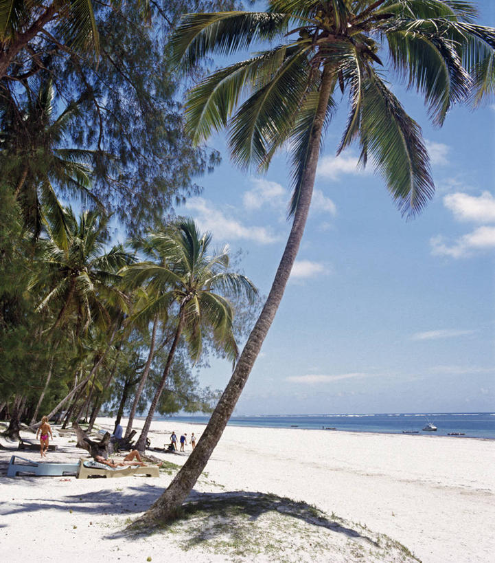 无人,竖图,室外,旅游,度假,日光浴,海洋,非洲,肯尼亚,行人,游客,游人,沙子,路人,旅客,树,蓝色,天空,放松,摄影,印度洋,过客,蒙巴萨岛,海滩,椰子树,彩图,旅行