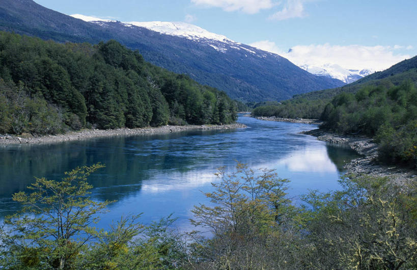 无人,横图,室外,河流,山,树林,雪,雪山,智利,反射,地形,山谷,树,南美,摄影,拉丁美洲,彩图,钓鱼,动机