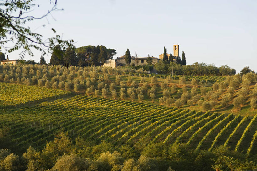 葡萄酒,无人,农场,教堂,横图,室外,农业,美景,山,树林,植物,橄榄,意大利,欧洲,景观,葡萄园,树,树木,绿色,自然,藤蔓,景色,摄影,生长,成长,托斯卡纳,南欧,自然风光,托斯卡纳区,圣吉米尼亚诺,藤蔓植物,意大利共和国,托斯卡纳大区,奇扬第,彩图