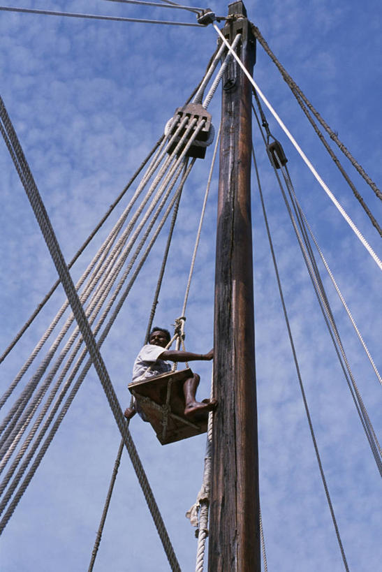 成年人,一个人,竖图,海洋,船,阿曼,仅一个男性,游艇,绳子,社区,乘务员,帆,摄影,块状,航海,印度洋,客船,波斯湾,滑车,男人,彩图,传动装置