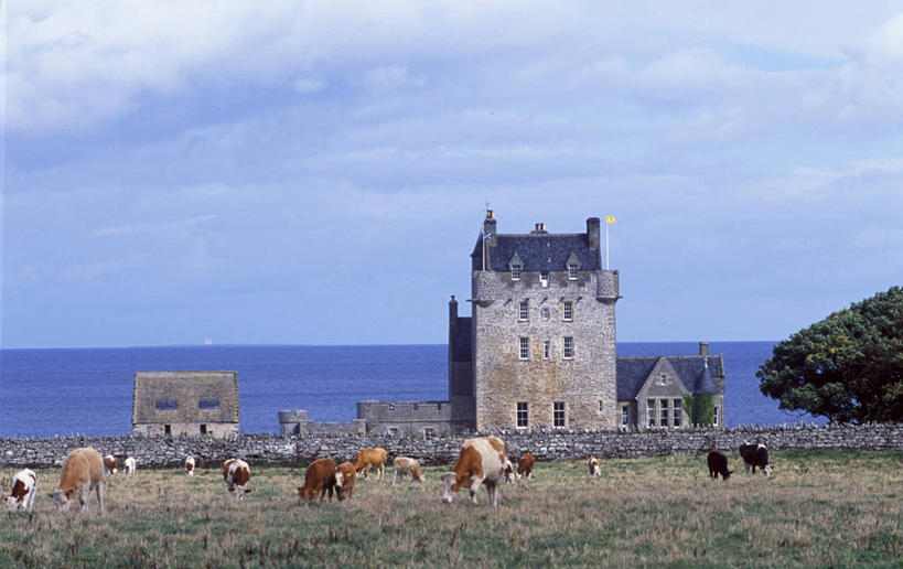 无人,横图,室外,建筑,酒店,牛,蜡烛,英国,城堡,苏格兰,摄影,豪宅,北海,海滩,彩图