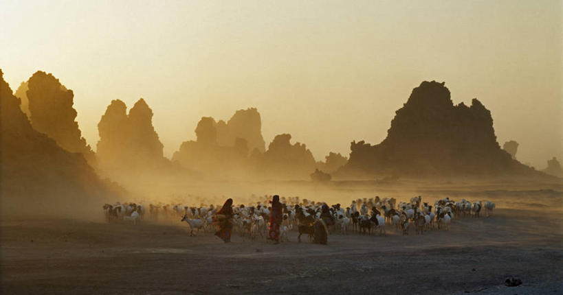 成年人,无人,横图,室外,旅游,度假,农业,火山,美景,沙漠,风,哺乳动物,野生动物,非洲,吉布提,地形,景观,娱乐,自然,动物,享受,休闲,家畜,景色,放松,摄影,牲畜,灰尘,自然风光,干的,女人,活火山,岩石,尘暴,山羊,彩图,游牧民族