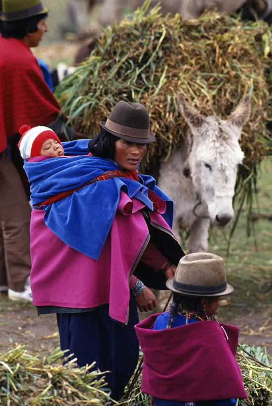 婴儿,儿童,成年人,人群,母亲,女儿,儿子,农民,竖图,室外,购物,商务,消费,农业,火山,帽子,厄瓜多尔,小贩,稻草,集市,市场,衣服,动物,社区,南美,金融,摄影,南美洲,拉丁美洲,运送,美洲,群众,骡子,贩卖,选购,贸易,种植园,亚美利加洲,南亚美利加洲,驴子,厄瓜多尔共和国,女人,商人,死火山,外衣,彩图,传统服装,传统文化,钦博拉索山