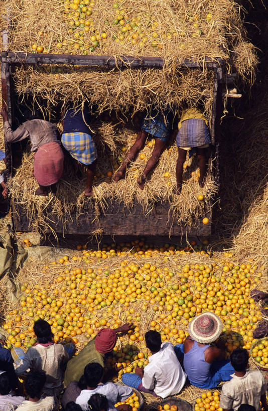 竖图,商务,消费,农业,城市,水果,印度,亚洲,小贩,市场,橙色,摄影,清新,贸易,加尔各答,商人,彩图