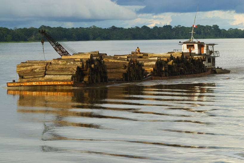无人,横图,室外,河流,水,轮船,船,亚马逊河,秘鲁,堆叠,木制,方向,交通工具,南美,运输,摄影,拉丁美洲,圆木,载具,环境保护,彩图,旅行,蒸汽轮船