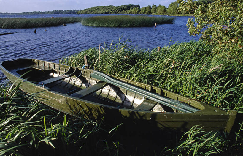 划艇,无人,横图,室外,湖,水,植物,船,芦苇,爱尔兰,停靠,木制,海岸线,摄影,停泊,爱尔兰共和国,克莱尔郡,彩图