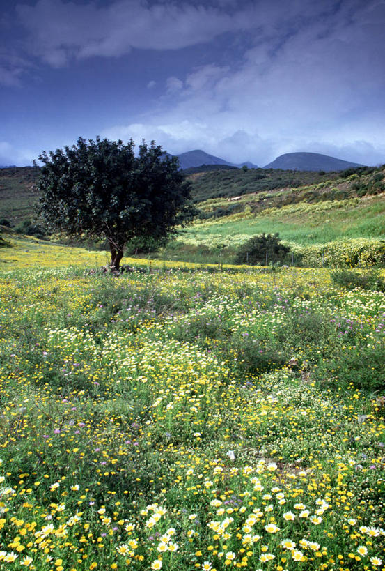 无人,竖图,希腊,欧洲,地形,摄影,地中海文化,克里特岛,彩图,旅行