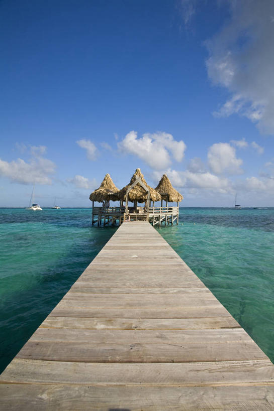 无人,竖图,室外,伯利兹,岛,珊瑚礁,摄影,热带气候,中美洲,拉丁美洲,海滩,彩图