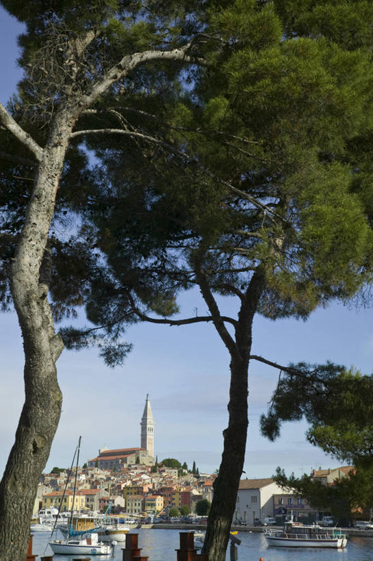 无人,竖图,欧洲,克罗地亚,城镇,摄影,地中海文化,巴尔干,东欧,亚得里亚海,罗维尼,伊斯特利亚,彩图,海港