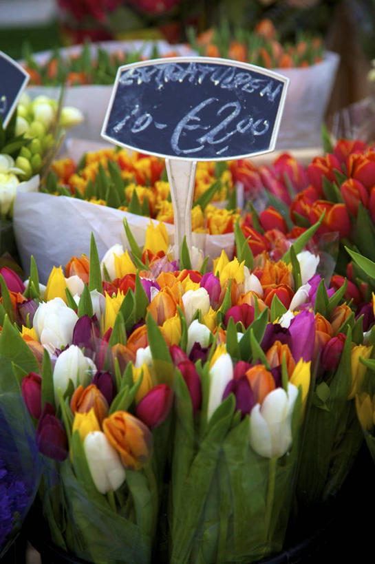 无人,竖图,室外,特写,白天,美景,郁金香,荷兰,丰富,景观,首都,花市,自然,花束,景色,摄影,手写,部分,清新,自然风光,价格标签,阿姆斯特丹,彩图