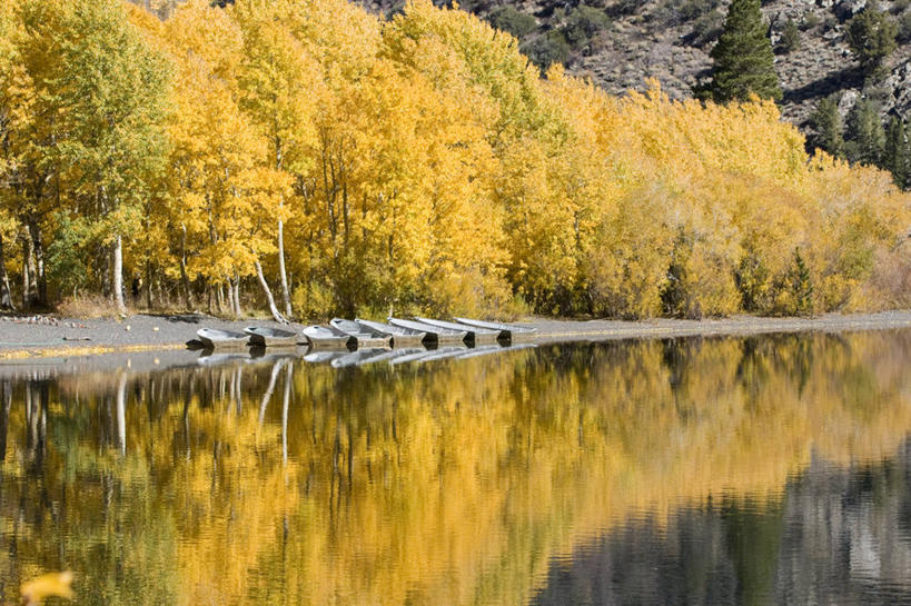 无人,横图,彩色,室外,白天,留白,湖,美景,水,植物,美国,一排,整齐,反射,地形,景观,草药,药草,渔船,中药,树,排列,风景,自然,景色,摄影,五颜六色,宁静,色彩斑斓,白杨树,北美,北美洲,队列,加利福尼亚,自然风光,美洲,药材,中草药,五彩缤纷,白杨,加州,中药材,本草,加利福尼亚州,内华达山,内华达山脉,金州,黄金州,北亚美利加洲,亚美利加洲,五彩斑斓,大叶杨,五光十色,秋天,彩图,颤杨,冲天杨,响杨,白根子,牛肚根,沙参儿,山菜根,山马踏菜根,土参,银柴胡,银胡,美利坚合众国,对焦