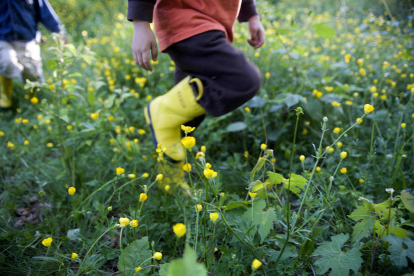 西方人,儿童,一个人,横图,室外,白天,旅游,度假,探险,纯洁,草地,美景,植物,欧洲,美国,欧洲人,仅一个男性,仅一个人,雨鞋,景观,毛茛,野花,草药,药草,娱乐,中药,小孩,黄色,自然,仅一个小孩,享受,休闲,景色,放松,可爱,童年,童趣,摄影,自然风光,药材,中草药,童真,烂漫,无邪,中药材,本草,马萨诸塞,老虎脚爪草,鱼疔草,天真,男孩,男人,男性,白种人,孩子,步行,彩图,男生