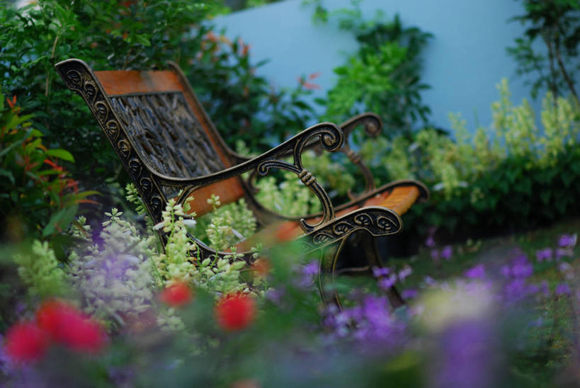 无人,横图,室外,白天,美景,马来西亚,庭院,景观,摇椅,花,自然,景色,摄影,宁静,自然风光,布城,彩图