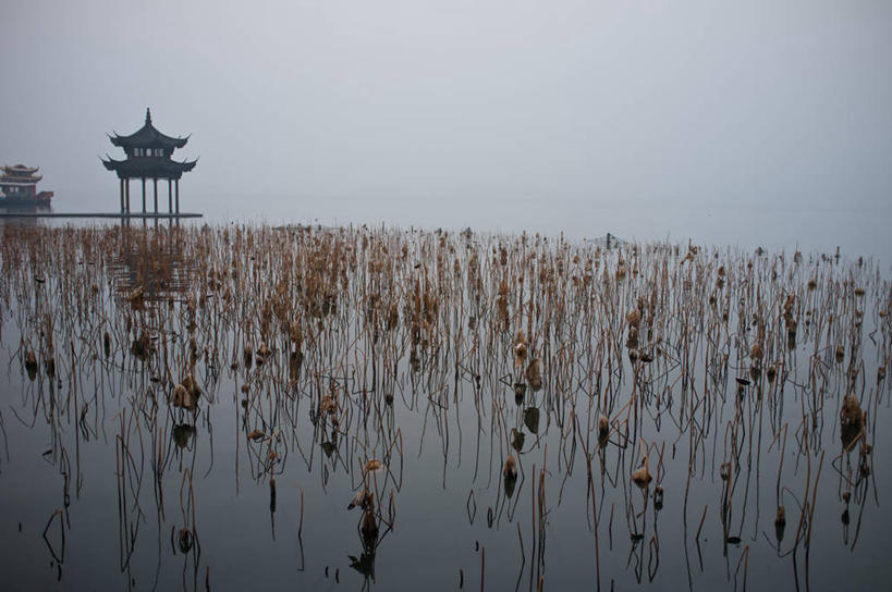 无人,横图,室外,白天,湖,莲花,西湖,日本文化,反射,浙江省,天空,自然,摄影,杭州,宁静,干的,亭台楼阁,彩图