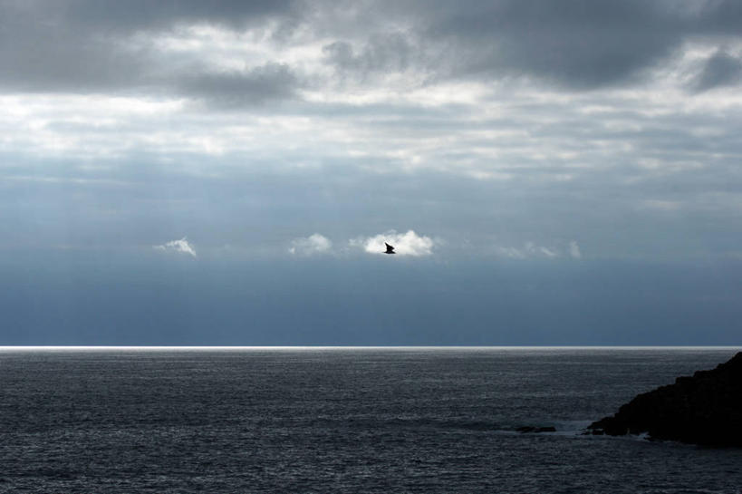 无人,横图,室外,白天,海洋,美景,多云,海鸥,法国,鸟类,景观,水平线,云,半空,飞,风景,天空,自然,景色,摄影,宁静,布列塔尼,自然风光,海景,基伯龙,彩图