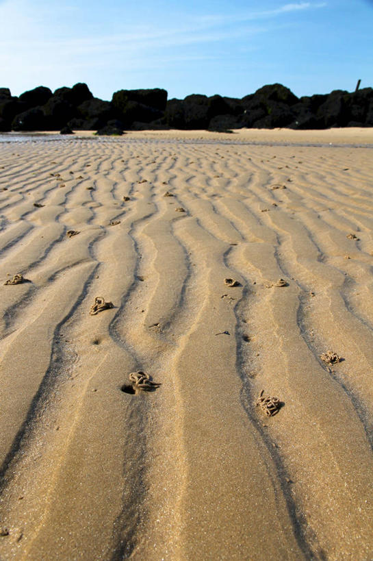 无人,竖图,室外,白天,英国,波纹,沙子,树,天空,自然,摄影,宁静,艾塞克斯大学,海滩,彩图