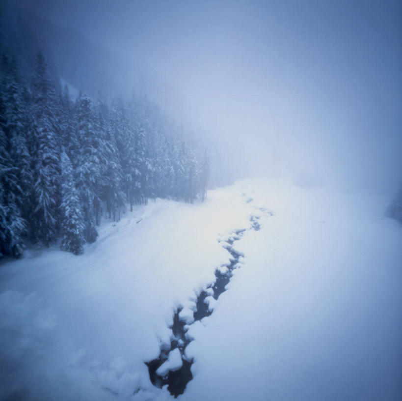 无人,横图,室外,白天,河流,雪,雾,美国,冬天,天气,树,天空,自然,寒冷,摄影,宁静,华盛顿州,彩图,皮尔斯县