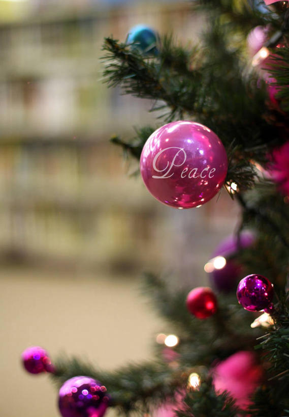 无人,竖图,室内,特写,通讯,书架,加拿大,圣诞节,吊挂,悬挂,节日,庆祝,装饰,光线,文字,圣诞树,光芒,挂,文化,装饰品,树,装饰物,庆典,摄影,纪念,英文字母,华丽,修饰,点缀,饰物,衬托,美观,雅致,雅观,魁北克,蒙特利尔,彩图,传统文化,传统节日