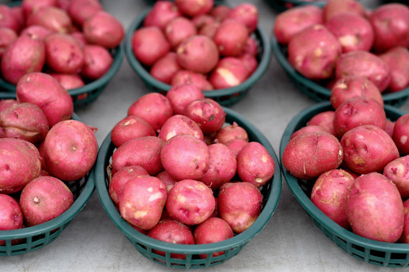 无人,横图,俯视,室外,白天,购物,消费,蔬菜,美国,篮子,塑胶,集市,市场,饮食,红色,零售,金融,摄影,清新,选购,贸易,明尼苏达,马铃薯,彩图,高角度拍摄