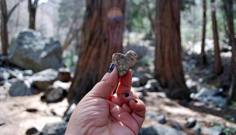 手,一个人,横图,室外,特写,白天,日光,美国,指甲油,拿着,树干,自然,摄影,部分,想法,心型,岩石,彩图,爱