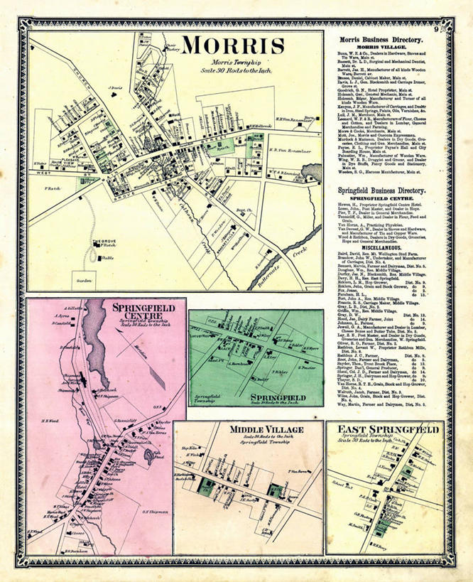 无人,竖图,地图,历史,古董,纽约州,莫里斯,彩图
