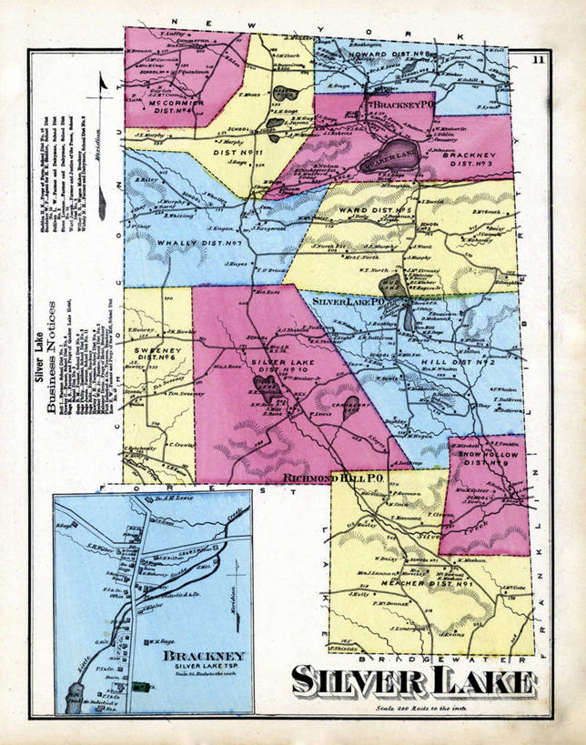 无人,竖图,植物,地图,城镇,草药,药草,历史,中药,古董,药材,中草药,中药材,本草,宾夕法尼亚,彩图,白根子,牛肚根,沙参儿,山菜根,山马踏菜根,土参,银柴胡,银胡