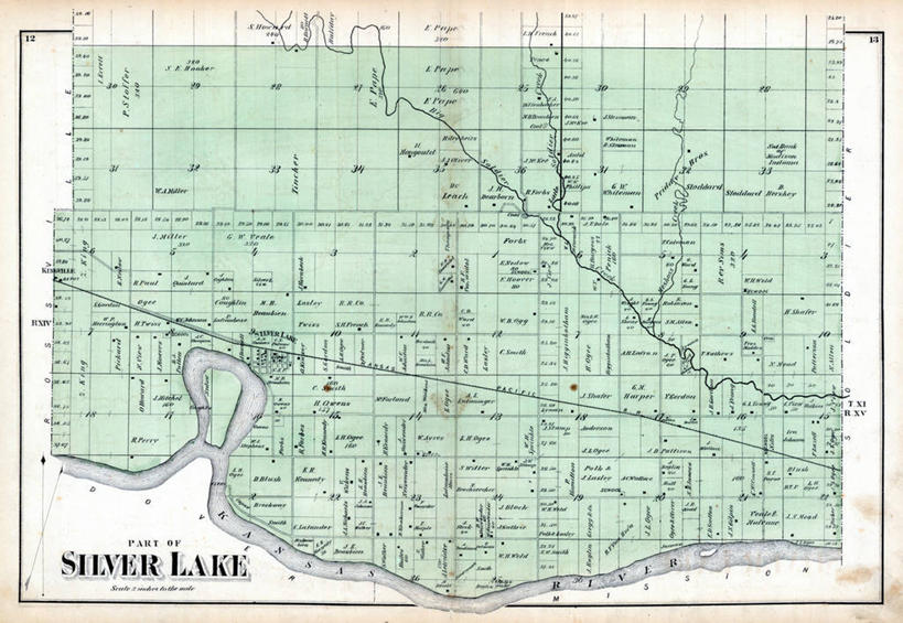 无人,横图,植物,地图,草药,药草,历史,中药,古董,药材,中草药,中药材,本草,堪萨斯,彩图,白根子,牛肚根,沙参儿,山菜根,山马踏菜根,土参,银柴胡,银胡,地图学