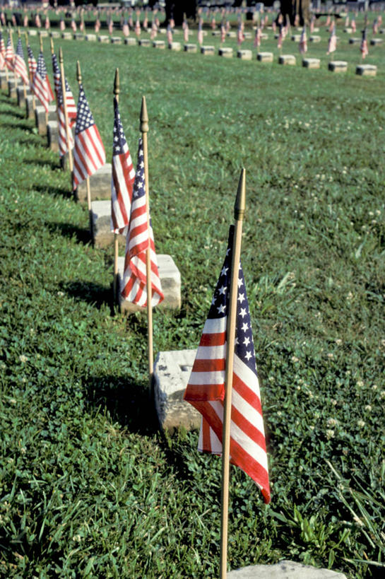 无人,竖图,室外,特写,白天,美国,一排,丰富,整齐,历史,草,排列,绿色,美国国旗,摄影,纪念,留念,队列,怀念,美国文化,爱国主义,宾夕法尼亚,盖兹堡,彩图