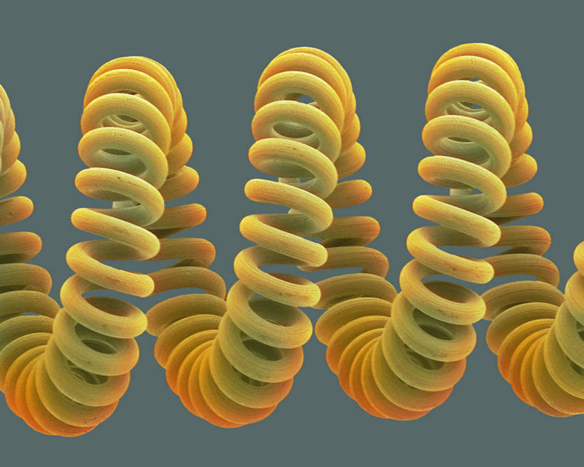 无人,横图,室内,白天,正面,仪器,一排,检查,整齐,并列,并排,反射,分析,科学,纹路,纹理,显微镜,排列,观察,清晰,探索,放大,观看,仔细,透镜,凸透镜,聚焦,队列,关注,灯丝,平行,肌理,光学,清楚,显微图片,螺旋状,彩图,螺旋形,螺旋形状,螺旋型,扫描电镜,扫描电子显微镜