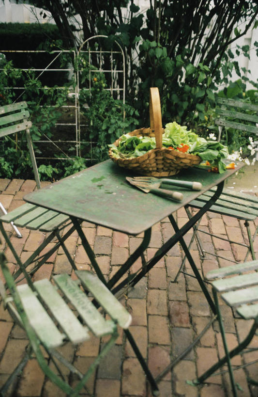 室外,家具,桌子,蔬菜,静物,叶子,椅子,金属,篮子,砖,篱笆,院子,莴苣,折叠,夏天,季节,古董,金属丝,折叠椅,格子饼,击剑,多义词