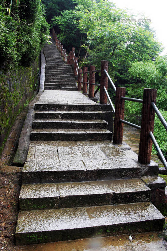 无人,栏杆,竖图,俯视,室外,白天,仰视,旅游,度假,美景,树林,植物,楼梯,井冈山,中国,亚洲,许多,扶手,阶梯,景观,娱乐,江西,护栏,台阶,树,树木,蓝色,绿色,蓝天,天空,自然,天,享受,休闲,景色,放松,生长,潮湿,晴朗,成长,自然风光,东亚,江西省,万里无云,中华人民共和国,华东地区,赣,湿润,革命,吉安,吉安市,革命根据地,晴空,晴空万里,彩图,低角度拍摄,高角度拍摄,bjzqp1