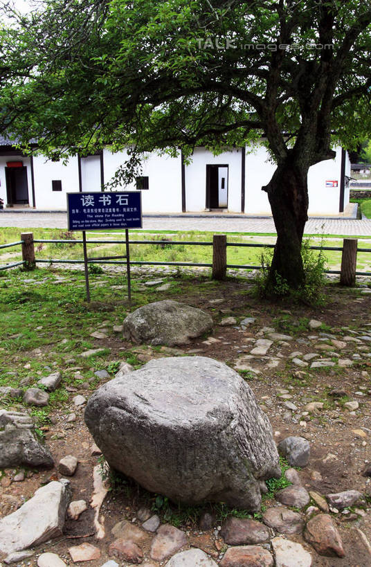 无人,家,竖图,俯视,室外,白天,旅游,度假,草地,草坪,石头,美景,植物,道路,路,公路,井冈山,中国,亚洲,一棵,石子,房屋,屋子,景观,枝条,交通,娱乐,江西,楼房,住宅,草,树,树干,树木,树枝,绿色,自然,享受,休闲,景色,放松,生长,成长,自然风光,东亚,江西省,中华人民共和国,华东地区,赣,革命,吉安,吉安市,读书石,革命根据地,石块,岩石,马路,彩图,高角度拍摄,房子,bjzqp1