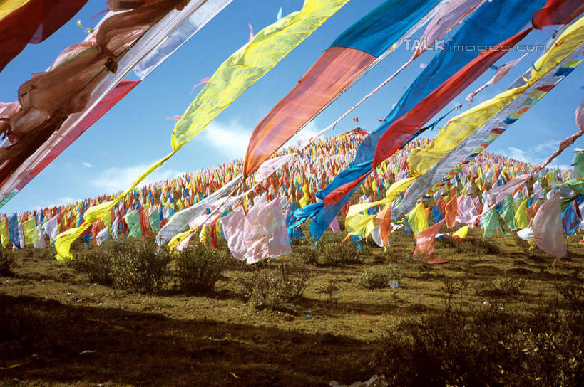 无人,横图,室外,白天,仰视,旅游,度假,石头,美景,山,山脉,植物,旗帜,中国,亚洲,阴影,枯萎,光线,石子,影子,景观,山峰,云,云朵,枯草,山峦,云彩,娱乐,旗子,经幡,草,黄色,蓝色,白云,蓝天,天空,阳光,自然,群山,天,享受,休闲,景色,放松,晴朗,自然风光,东亚,青海,青海省,久治县,风马旗,中华人民共和国,旌旗,旗号,西北地区,青,果洛,果洛州,果洛藏族自治州,石块,岩石,晴空,彩图,低角度拍摄,shcm1