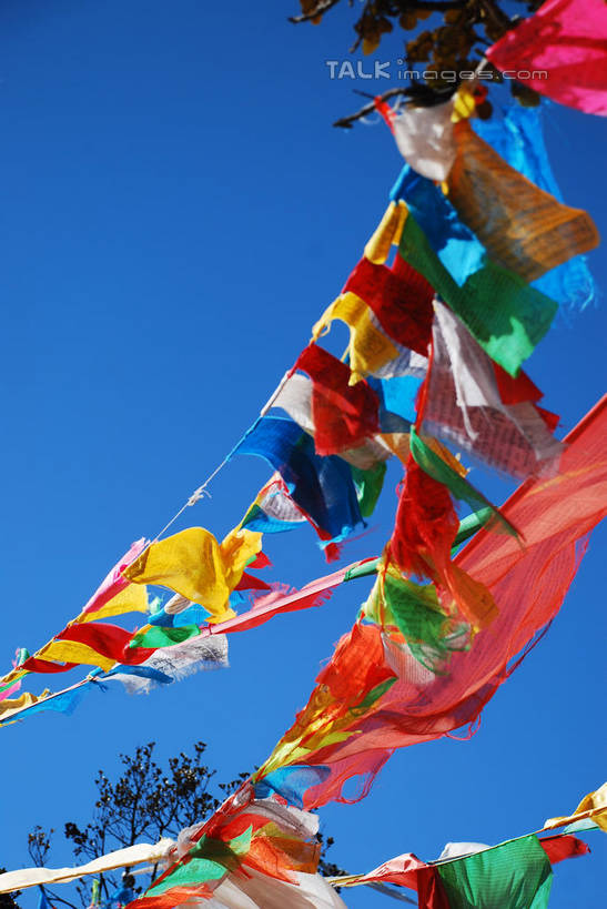 无人,竖图,彩色,室外,白天,仰视,植物,中国,亚洲,阴影,飘扬,光线,影子,迪庆,云南,经幡,树,树木,蓝色,绿色,蓝天,天空,阳光,自然,天,生长,晴朗,成长,飘逸,五颜六色,色彩斑斓,飞扬,五彩缤纷,东亚,迪庆藏族自治州,云南省,万里无云,风马旗,中华人民共和国,西南地区,五彩斑斓,滇,迪庆州,五光十色,晴空,晴空万里,彩图,低角度拍摄,shqxy1