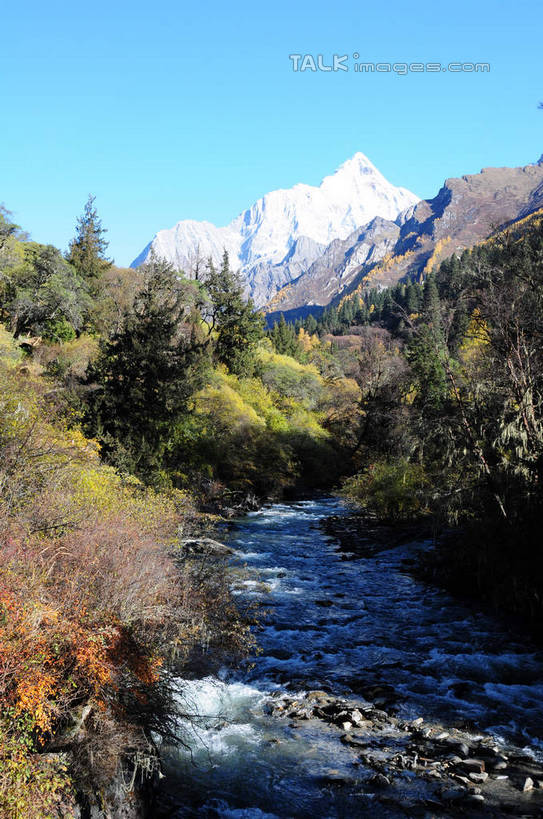 无人,竖图,室外,白天,正面,旅游,度假,草地,草坪,河流,石头,美景,山,树林,水,雪,雪山,植物,大雪,中国,亚洲,阴影,光线,石子,影子,河水,积雪,景观,山峰,水流,雪景,冬天,山峦,娱乐,草,树,树木,蓝色,绿色,蓝天,天空,小溪,阳光,自然,天,溪水,享受,休闲,景色,放松,四川省,生长,成长,自然风光,东亚,四川,阿坝,中华人民共和国,西南地区,阿坝藏族羌族自治州,阿坝州,长坪沟,川,四姑娘山,石块,岩石,彩图,shsgf1