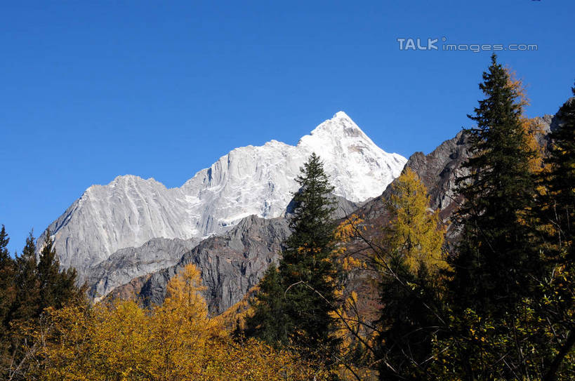 无人,横图,室外,白天,仰视,旅游,度假,草地,草坪,美景,山,树林,雪,雪山,植物,大雪,中国,亚洲,阴影,光线,影子,积雪,景观,山峰,雪景,冬天,山峦,娱乐,草,树,树木,蓝色,绿色,蓝天,天空,阳光,自然,天,享受,休闲,景色,放松,四川省,生长,成长,自然风光,东亚,四川,阿坝,中华人民共和国,西南地区,阿坝藏族羌族自治州,阿坝州,长坪沟,川,四姑娘山,彩图,低角度拍摄,shsgf1