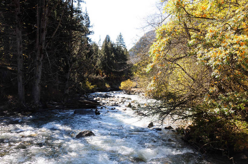 无人,横图,室外,白天,正面,旅游,度假,草地,草坪,河流,石头,美景,山,树林,水,雪,雪山,植物,大雪,中国,亚洲,阴影,光线,石子,影子,河水,积雪,景观,山峰,水流,雪景,冬天,山峦,娱乐,草,树,树木,蓝色,绿色,蓝天,天空,阳光,自然,天,享受,休闲,景色,放松,四川省,生长,成长,自然风光,东亚,四川,阿坝,中华人民共和国,西南地区,阿坝藏族羌族自治州,阿坝州,长坪沟,川,四姑娘山,石块,岩石,彩图,shsgf1