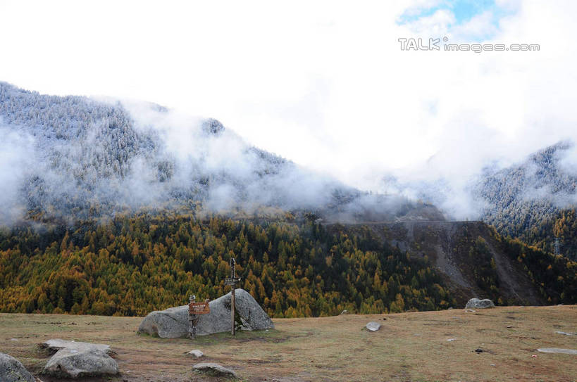 无人,横图,室外,白天,正面,旅游,度假,草地,草坪,石头,美景,山,树林,雪,雪山,植物,雾,大雪,中国,亚洲,许多,枯萎,朦胧,模糊,散落,石子,积雪,景观,山峰,山坡,雪景,冬天,枯草,山峦,娱乐,草,树,树木,蓝色,绿色,蓝天,天空,自然,天,享受,休闲,景色,放松,四川省,生长,成长,迷雾,自然风光,东亚,四川,阿坝,中华人民共和国,西南地区,阿坝藏族羌族自治州,阿坝州,川,海子沟,四姑娘山,石块,岩石,大雾,彩图,shsgf1