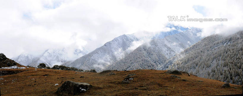 无人,横图,室外,白天,正面,旅游,度假,草地,草坪,美景,山,树林,雪,雪山,植物,雾,大雪,中国,亚洲,阴影,枯萎,朦胧,模糊,光线,影子,积雪,景观,山峰,山坡,雪景,云,云朵,冬天,枯草,山峦,云彩,娱乐,草,树,树木,蓝色,绿色,白云,蓝天,天空,阳光,自然,天,享受,休闲,景色,放松,四川省,生长,成长,迷雾,自然风光,东亚,四川,阿坝,中华人民共和国,西南地区,阿坝藏族羌族自治州,阿坝州,川,海子沟,四姑娘山,大雾,彩图,shsgf1