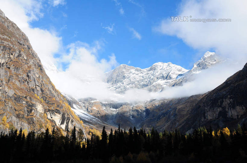 无人,横图,室外,白天,正面,旅游,度假,草地,草坪,美景,山,树林,雪,雪山,植物,雾,大雪,中国,亚洲,阴影,朦胧,模糊,光线,影子,积雪,景观,山峰,雪景,云,云朵,冬天,山峦,云彩,娱乐,草,树,树木,蓝色,绿色,白云,蓝天,天空,阳光,自然,天,享受,休闲,景色,放松,四川省,生长,成长,迷雾,自然风光,东亚,四川,阿坝,中华人民共和国,西南地区,阿坝藏族羌族自治州,阿坝州,川,双桥沟,四姑娘山,彩图,shsgf1