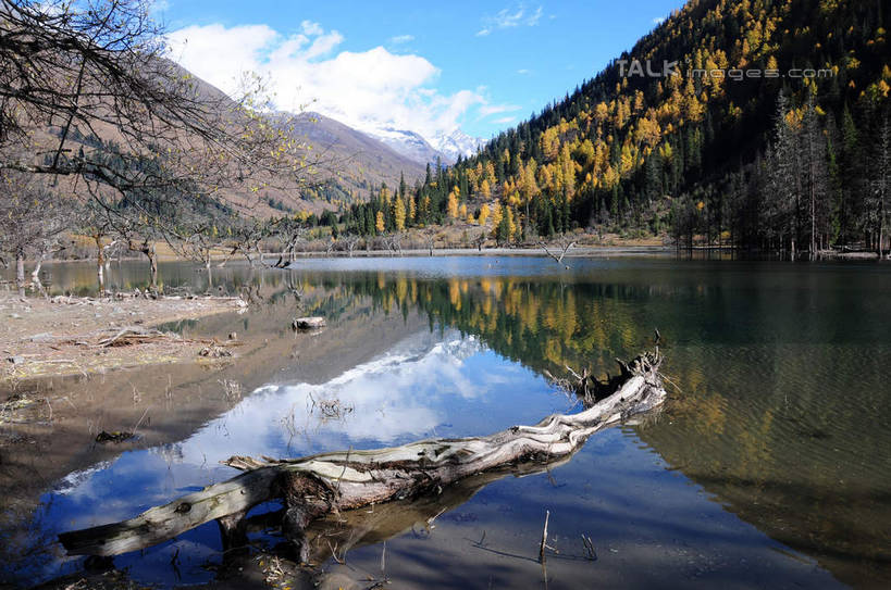 无人,横图,室外,白天,正面,旅游,度假,草地,草坪,湖,湖泊,美景,山,树林,水,雪,雪山,植物,大雪,中国,亚洲,阴影,枯萎,反射,光线,影子,湖面,积雪,景观,山峰,水流,水面,雪景,云,云朵,冬天,枯树,山峦,云彩,娱乐,草,树,树干,树木,蓝色,绿色,白云,倒影,蓝天,天空,阳光,自然,湖水,天,享受,休闲,景色,放松,四川省,生长,成长,自然风光,东亚,四川,阿坝,中华人民共和国,西南地区,阿坝藏族羌族自治州,阿坝州,川,双桥沟,四姑娘山,彩图,shsgf1