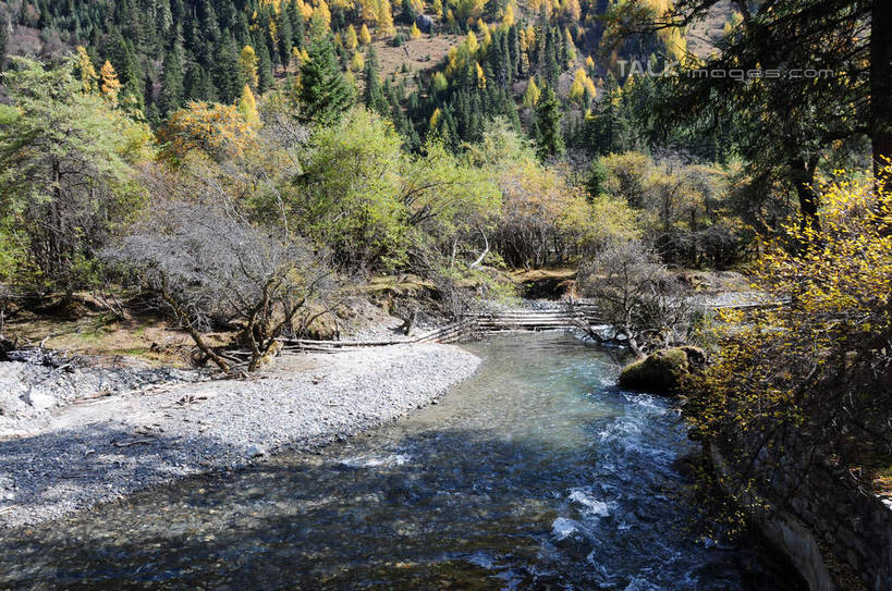 无人,横图,室外,白天,正面,旅游,度假,草地,草坪,河流,石头,美景,山,树林,水,雪,雪山,植物,大雪,中国,亚洲,许多,阴影,散落,光线,石子,影子,河水,积雪,景观,山峰,水流,雪景,云,云朵,冬天,山峦,云彩,娱乐,草,树,树木,蓝色,绿色,白云,蓝天,天空,阳光,自然,天,享受,休闲,景色,放松,四川省,生长,成长,自然风光,东亚,四川,阿坝,中华人民共和国,西南地区,阿坝藏族羌族自治州,阿坝州,川,双桥沟,四姑娘山,石块,岩石,彩图,shsgf1