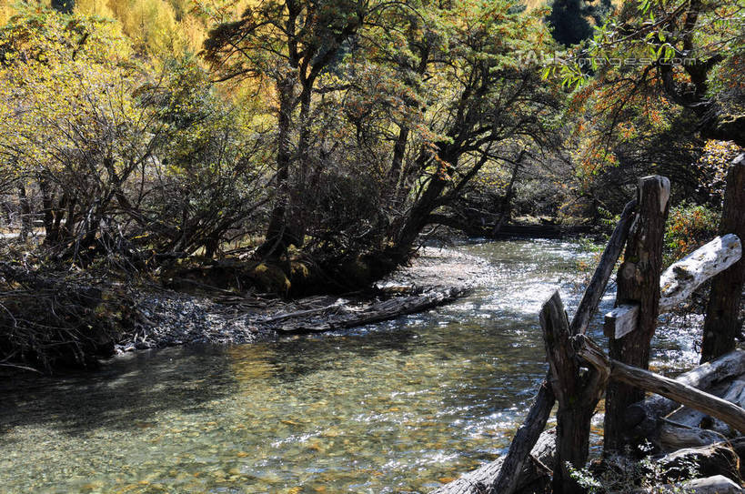 无人,横图,室外,白天,正面,旅游,度假,草地,草坪,河流,石头,美景,山,树林,水,雪,雪山,植物,大雪,中国,亚洲,许多,阴影,散落,光线,石子,影子,河水,积雪,景观,山峰,水流,雪景,云,云朵,冬天,枯枝,山峦,云彩,娱乐,草,树,树干,树木,树枝,蓝色,绿色,白云,蓝天,天空,阳光,自然,天,享受,休闲,景色,放松,四川省,生长,成长,自然风光,东亚,四川,阿坝,中华人民共和国,西南地区,阿坝藏族羌族自治州,阿坝州,川,双桥沟,四姑娘山,石块,岩石,彩图,shsgf1