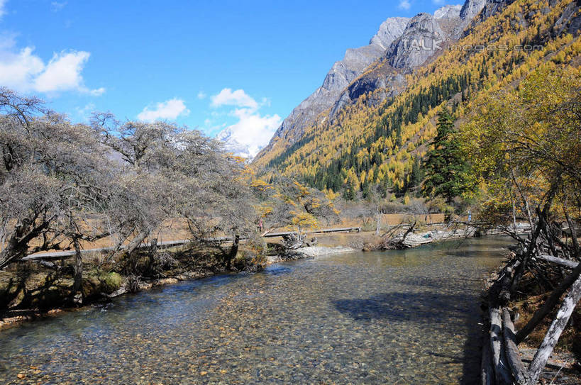 无人,横图,俯视,室外,白天,旅游,度假,草地,草坪,河流,美景,山,树林,水,雪,雪山,植物,大雪,中国,亚洲,阴影,枯萎,光线,影子,河水,积雪,景观,山峰,水流,雪景,云,云朵,冬天,枯枝,山峦,云彩,娱乐,草,树,树干,树木,蓝色,绿色,白云,蓝天,天空,阳光,自然,天,享受,休闲,景色,放松,四川省,生长,成长,自然风光,东亚,四川,阿坝,中华人民共和国,西南地区,阿坝藏族羌族自治州,阿坝州,川,双桥沟,四姑娘山,彩图,高角度拍摄,shsgf1